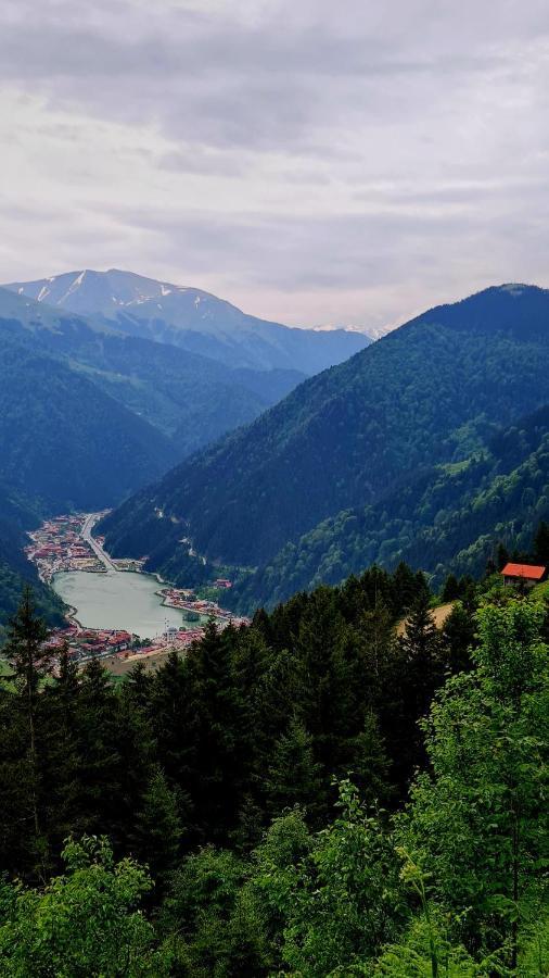 Yesil Kosk Hotel Uzungol