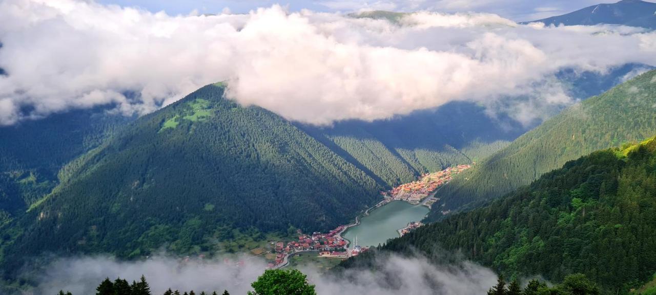 Yesil Kosk Hotel