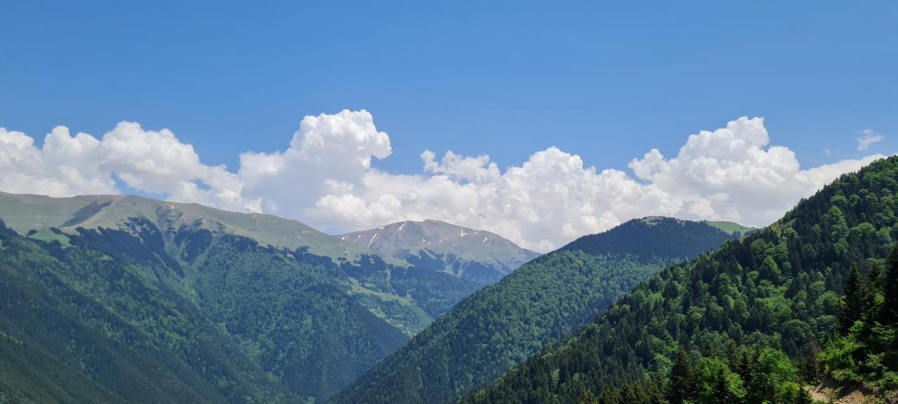 Hotel Yesil Kosk Uzungol
