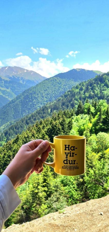 Yesil Kosk 3* Uzungol