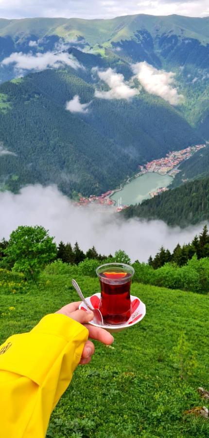 Hotel Yesil Kosk 3*