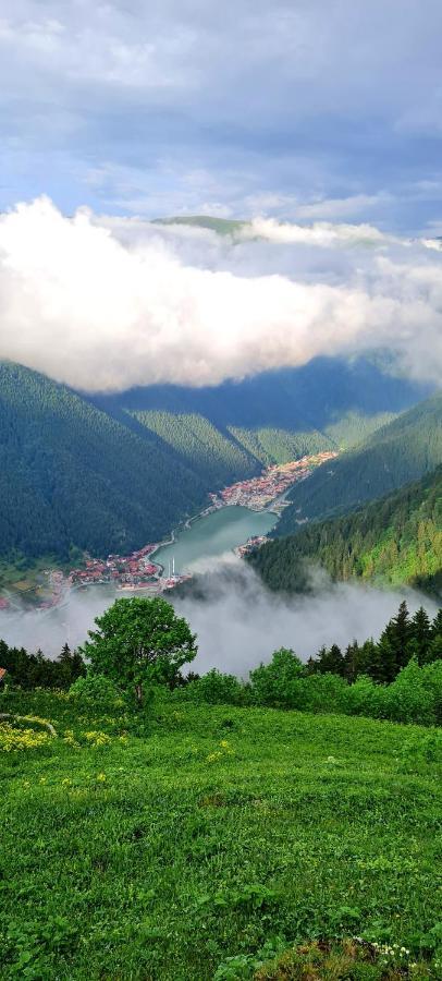 Yesil Kosk Uzungol