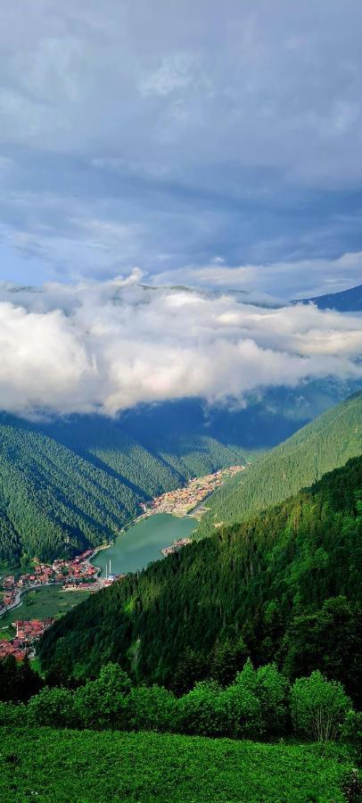 Yesil Kosk 3* Uzungol