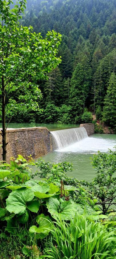 Hotel Yesil Kosk 3*