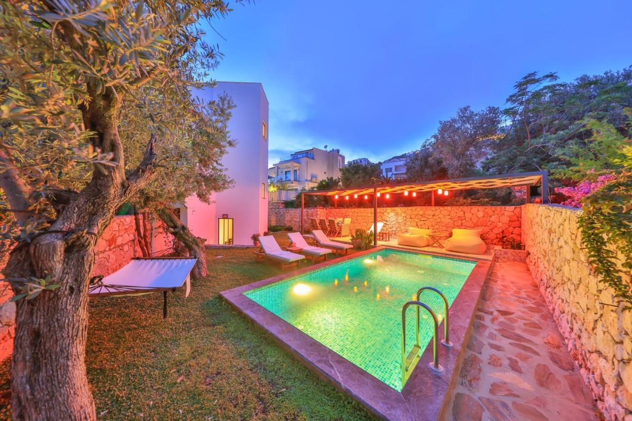 Roxy 3 Bedroom With One Of The Unique Gardens In Villa