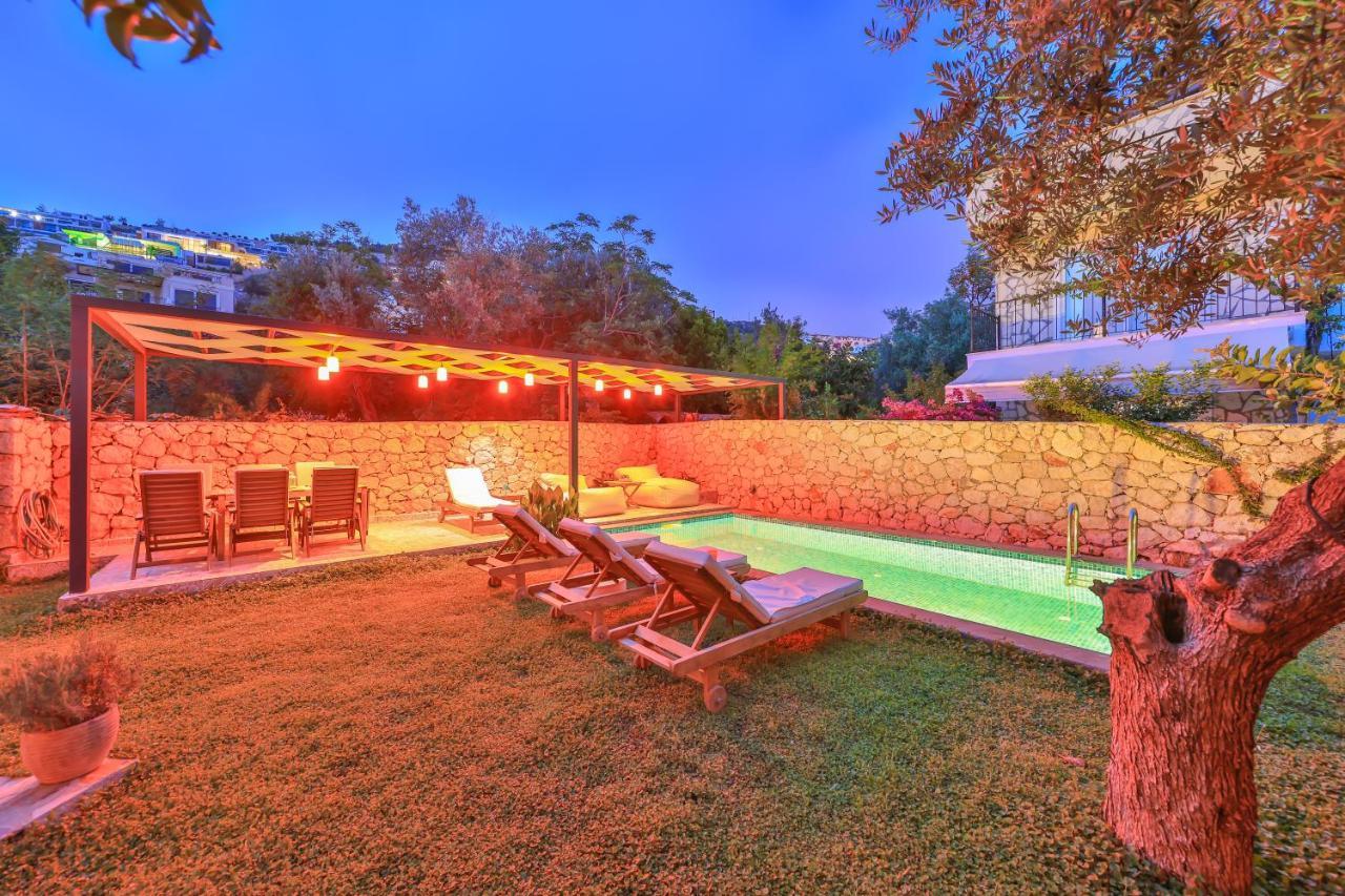 Roxy 3 Bedroom With One Of The Unique Gardens In Villa *