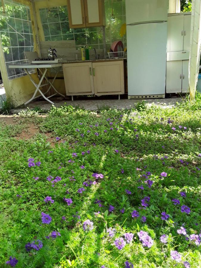 Waldvilla Apartment *