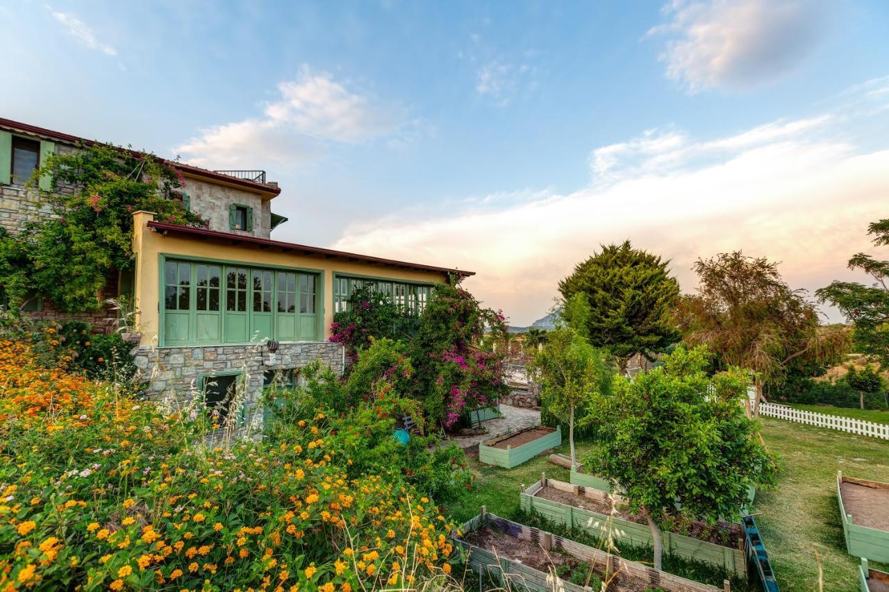 Casa Di Bed & Breakfast *