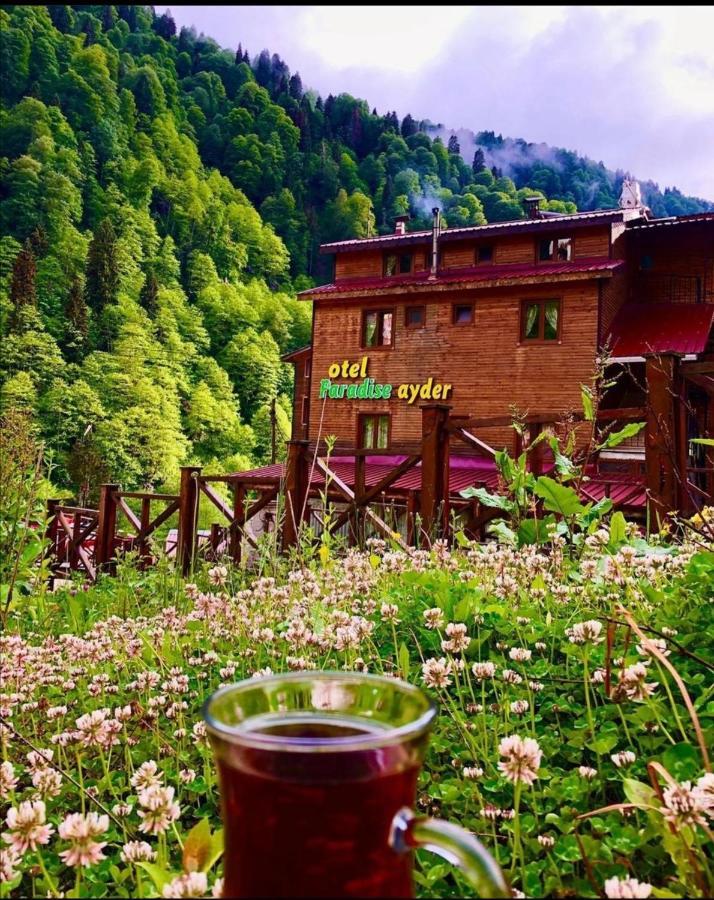 Paradise Hotel *