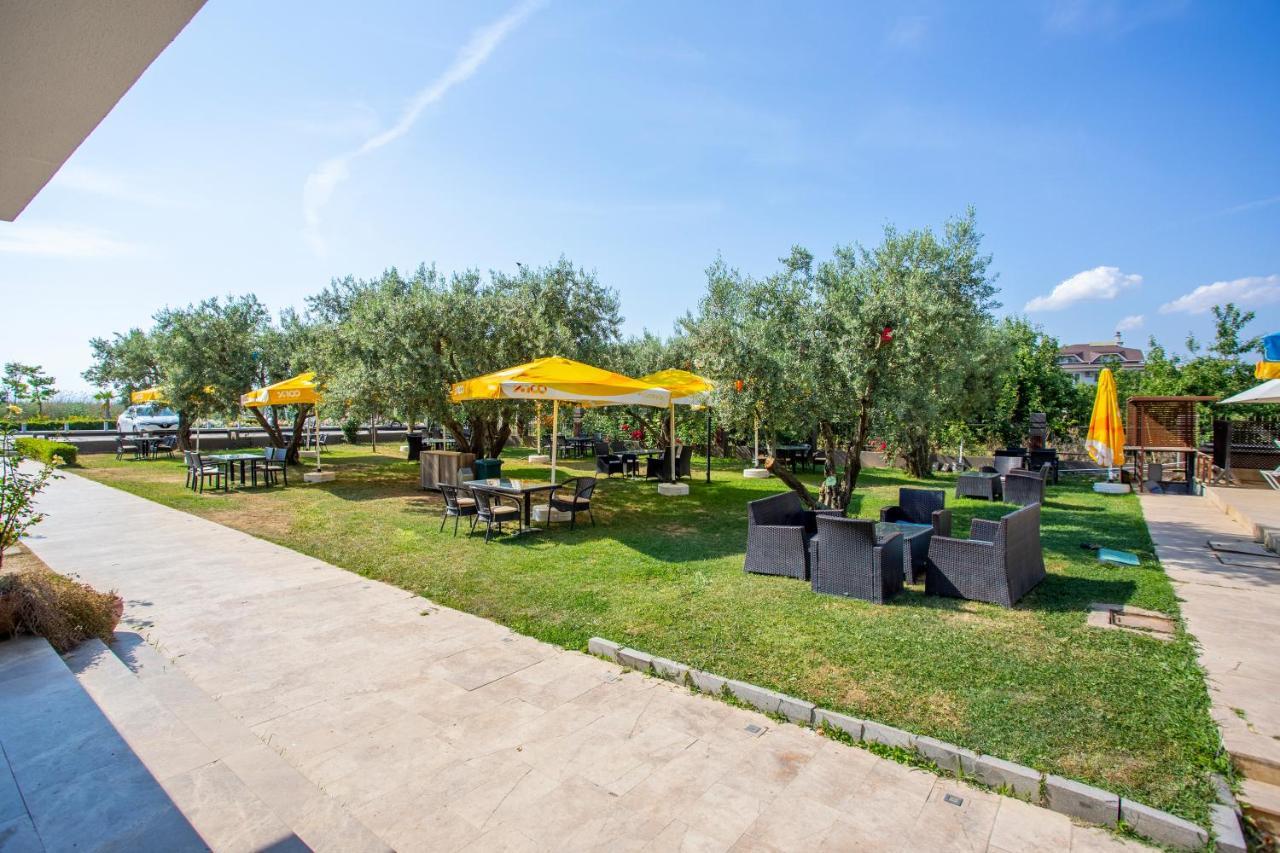 Zeytin Bahcesi