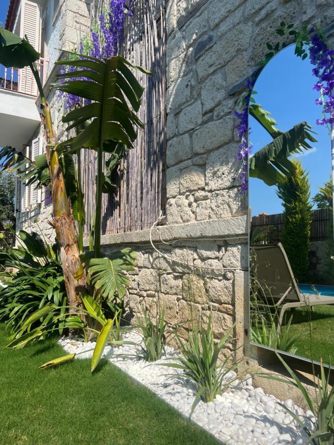 Hotel Viola (adults Only) 2*