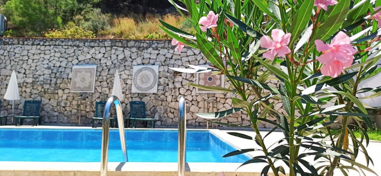 Hotel Swiss Eviniz (adults Only)
