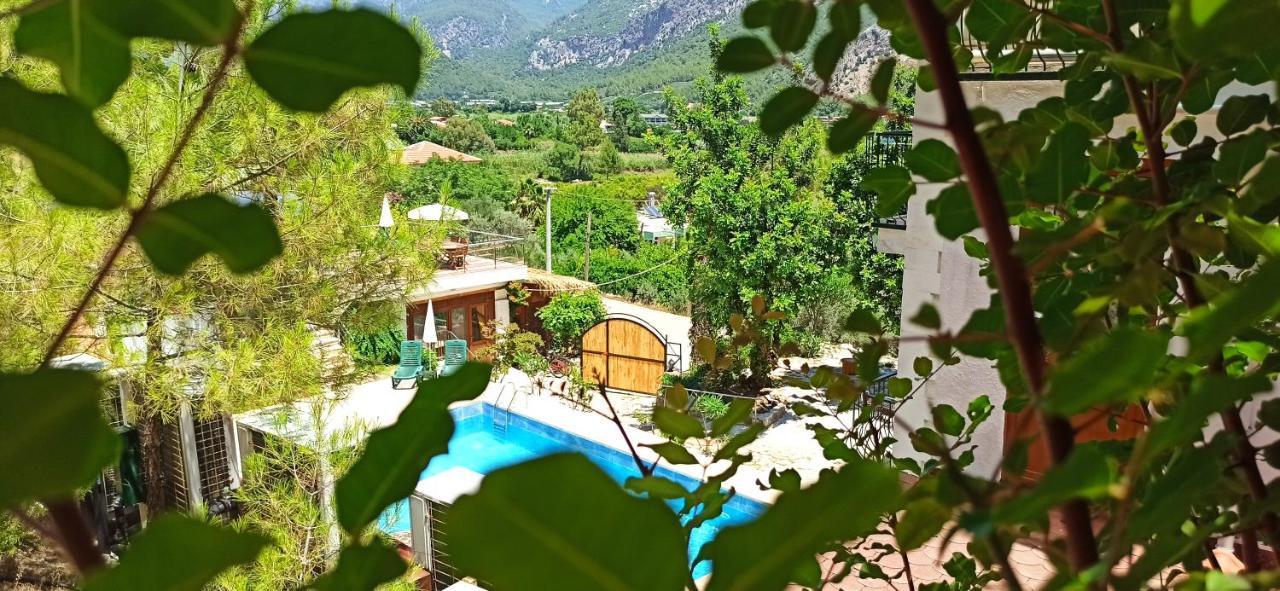 Hotel Swiss Eviniz (adults Only)