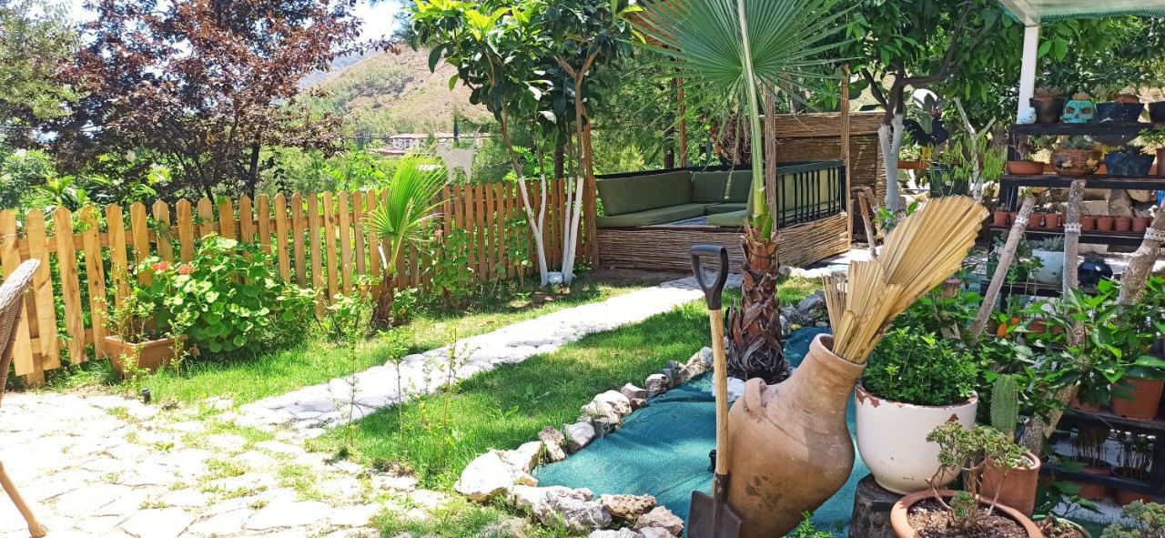 Swiss Eviniz (adults Only) Adrasan