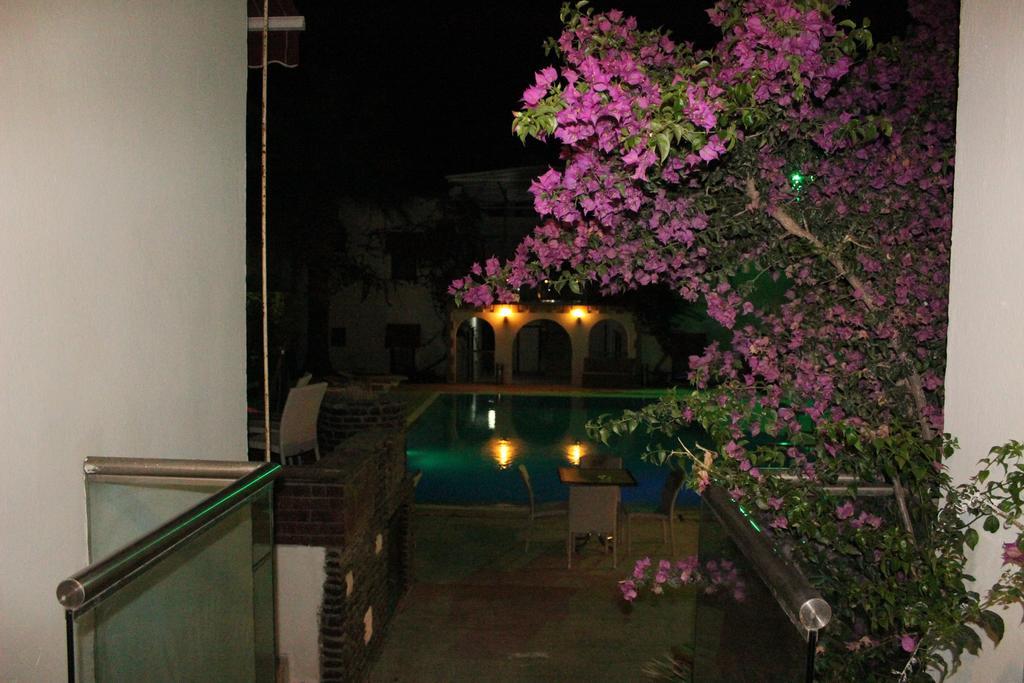 Alvin Hotel Gumbet