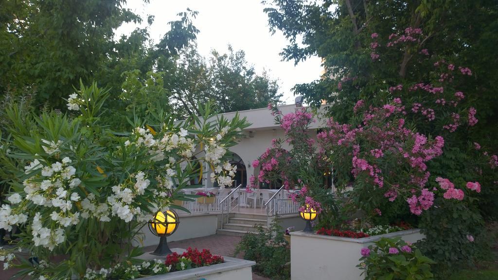 Hotel Arteka 2*