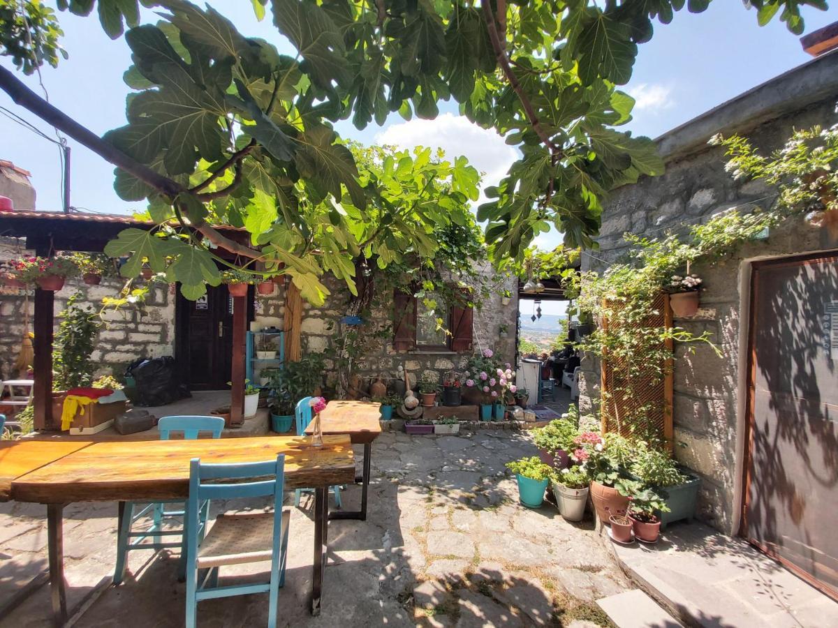 Dut Agaci Pension Homestay