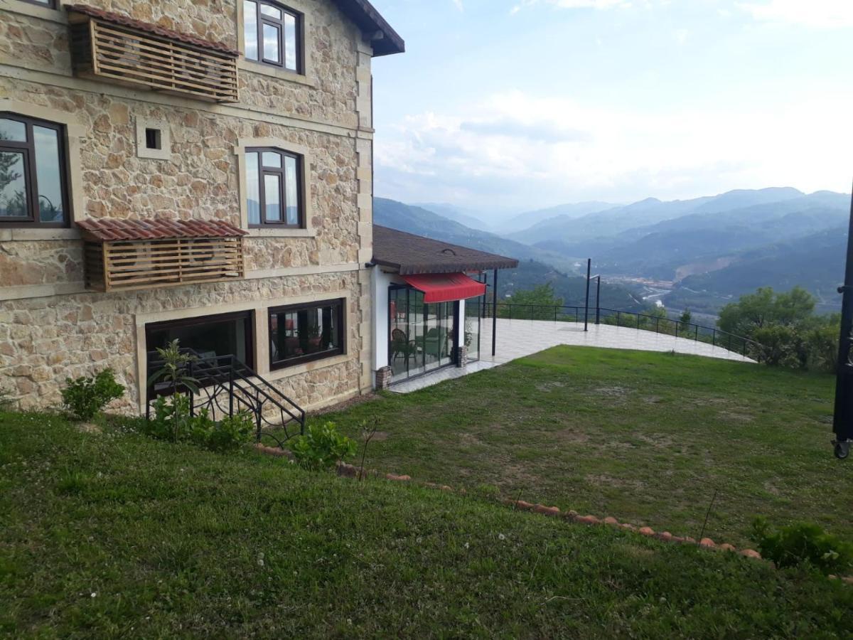 Hayat Oksijen *