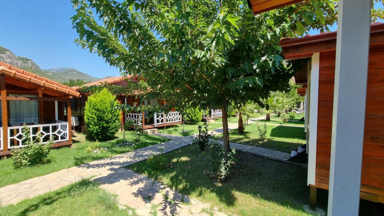 Efsane Cirali
