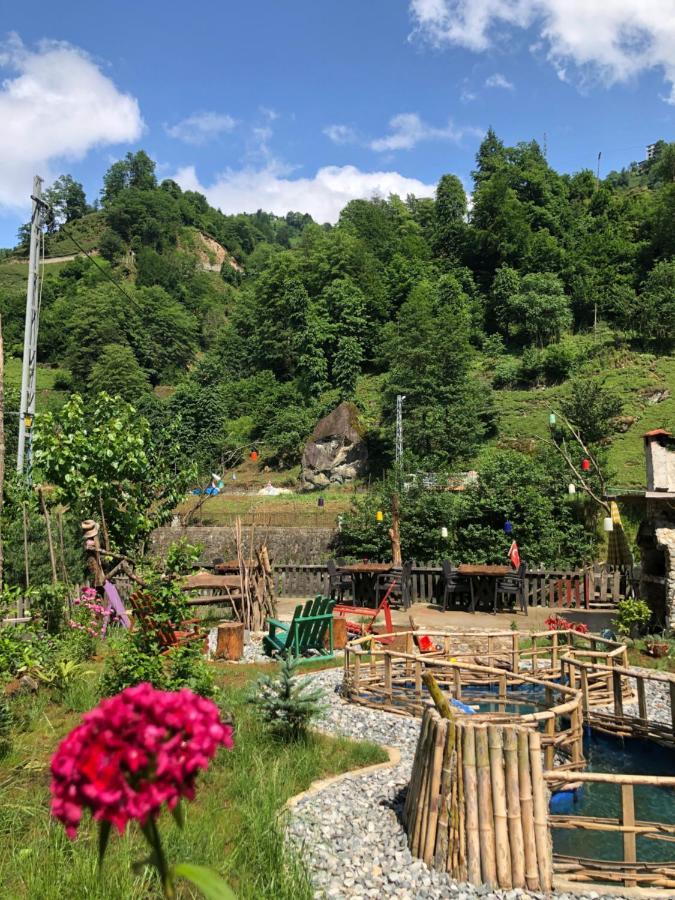 Afara & Cafe * Rize