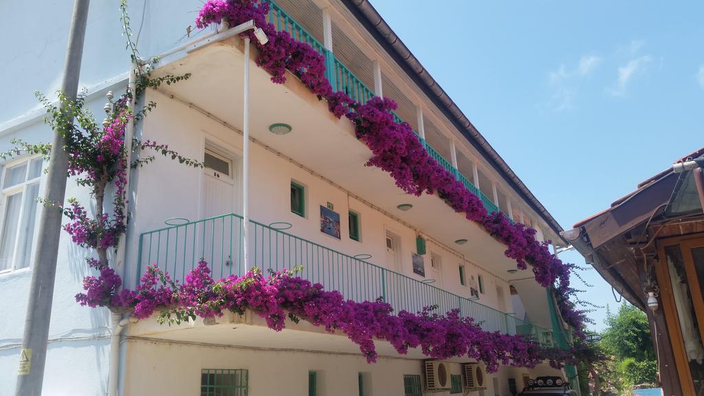 Guest house Evin Side