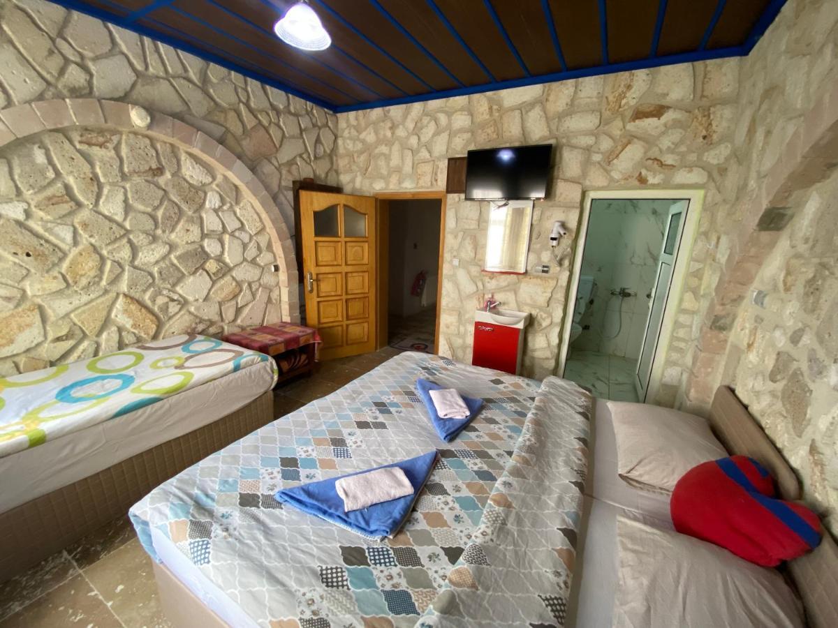 Hostel Crazy Horse