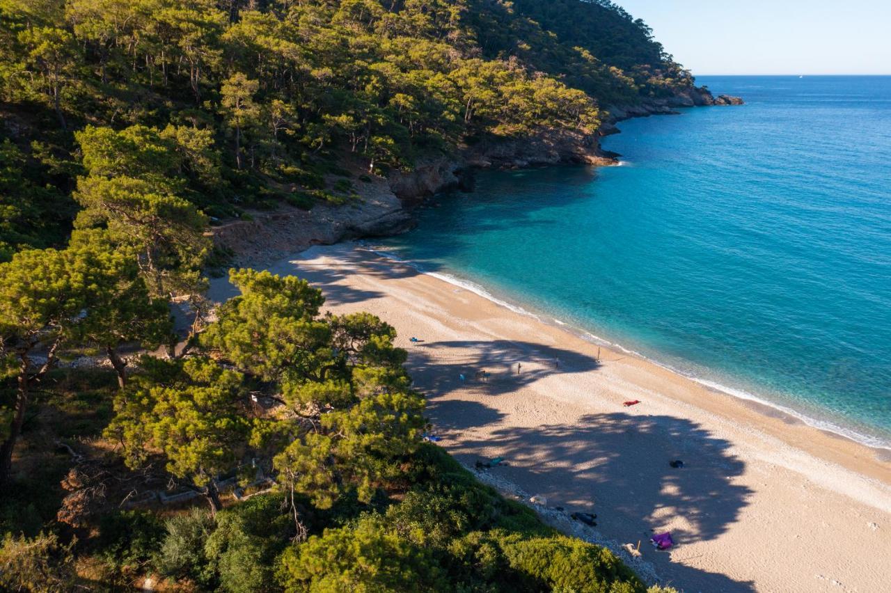 Chakra Kabak 3* Faralya