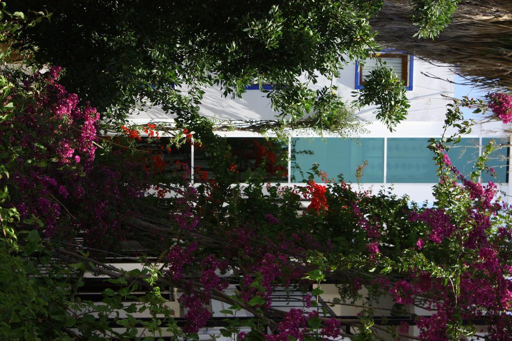 Hotel Sami