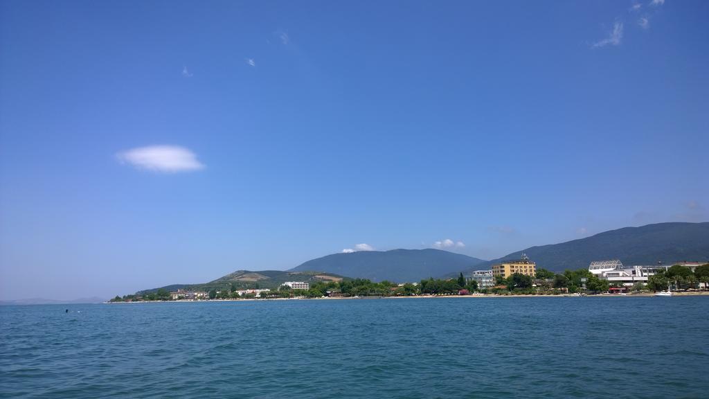 Arteka