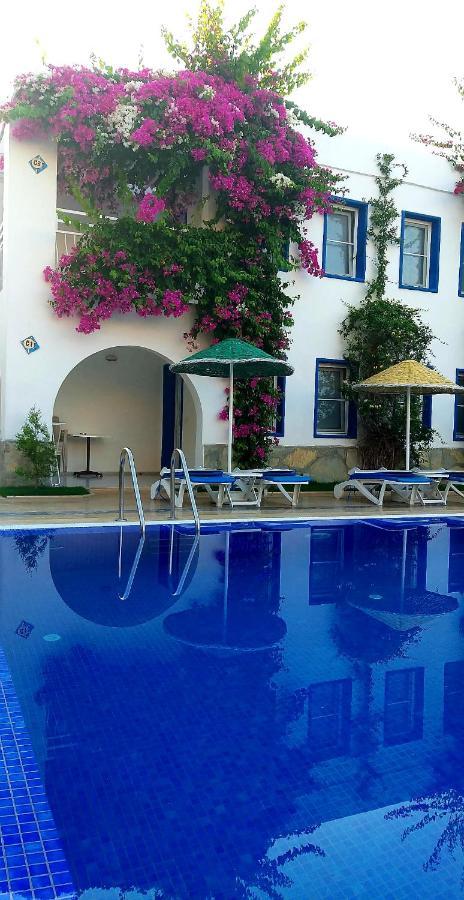 Paradise 3*