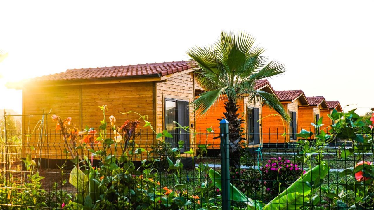 Lemon Garden Bed & Breakfast 2*