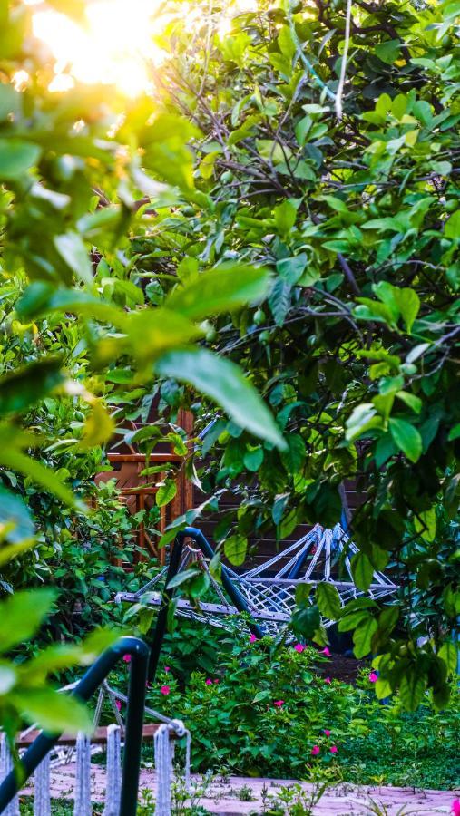 Lemon Garden Cirali