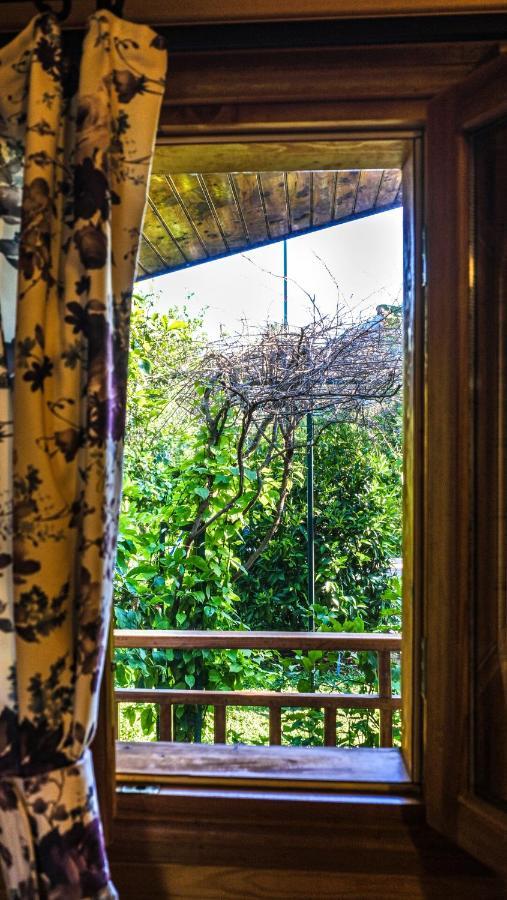 Bed & Breakfast Lemon Garden