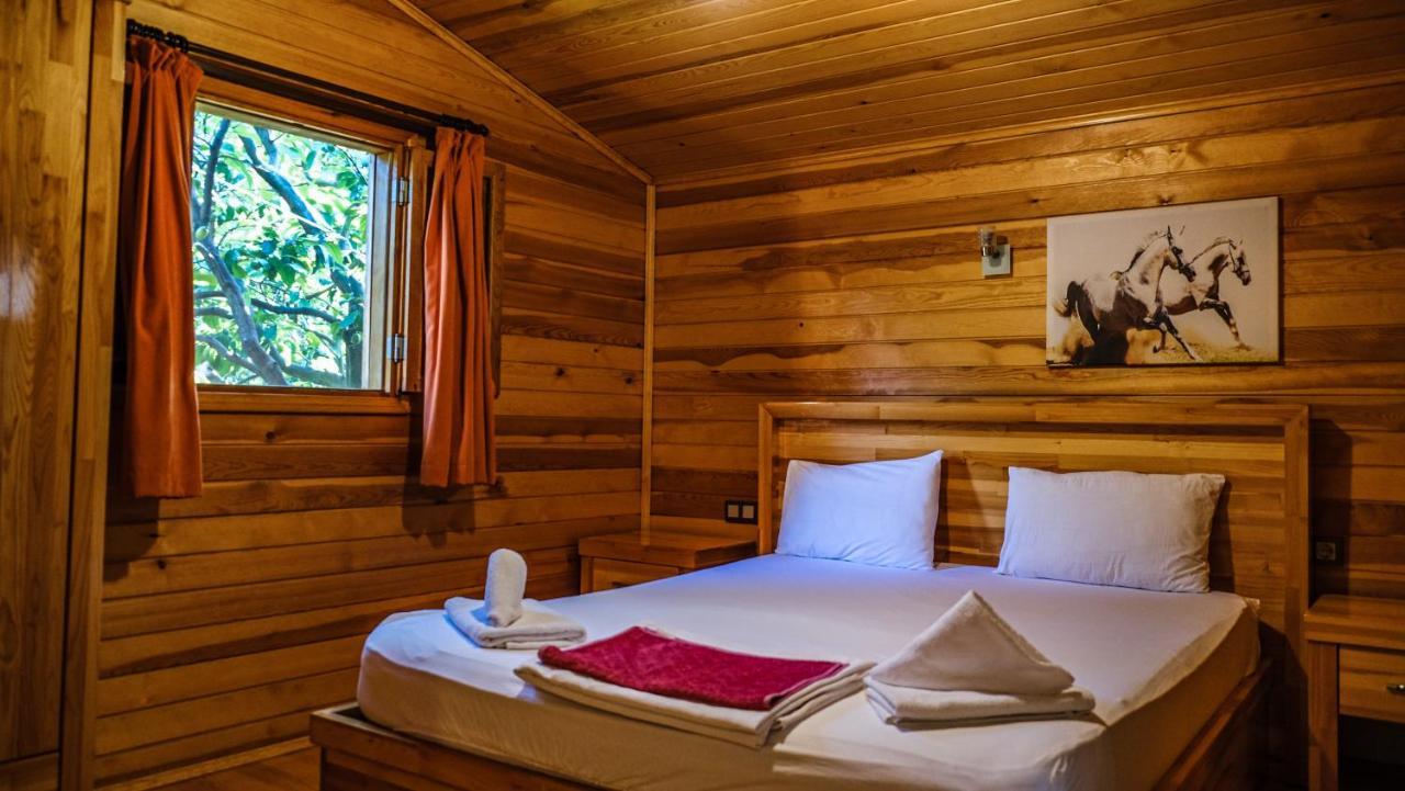 Bed & Breakfast Lemon Garden