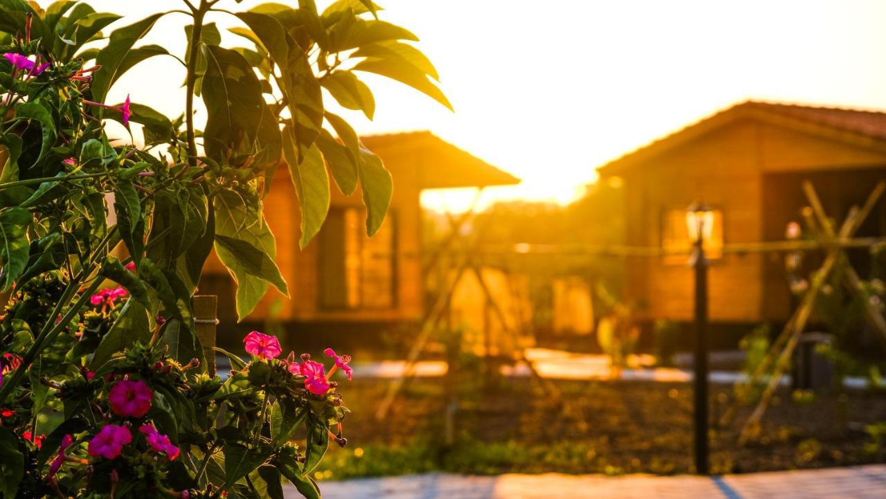 Bed & Breakfast Lemon Garden