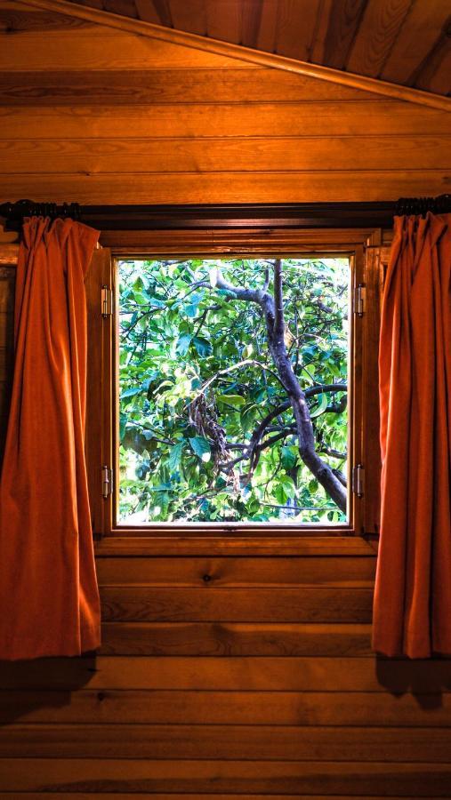 Bed & Breakfast Lemon Garden 2*