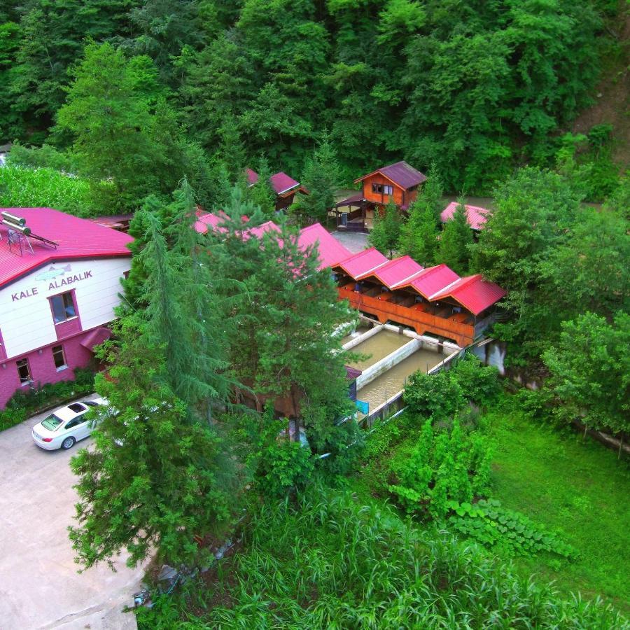 Isikli Kale Homestay