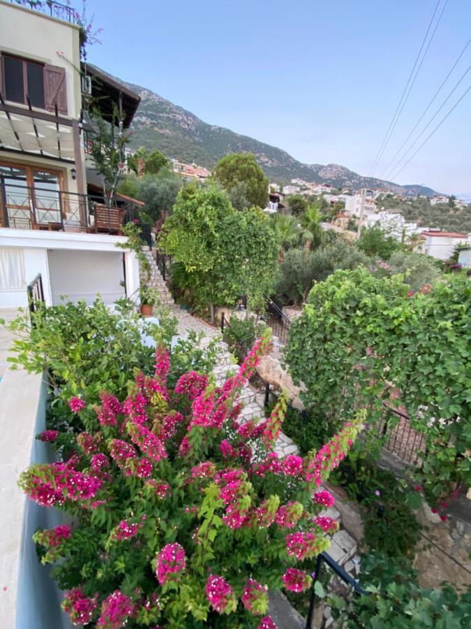 Mira Kalkan -close To Center- Kas
