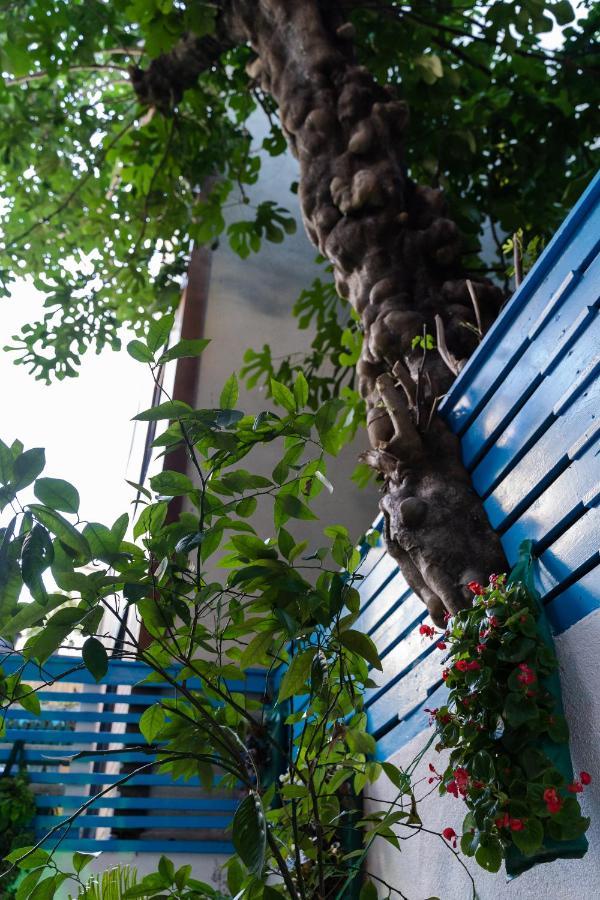 Hotel Sebnem 3*