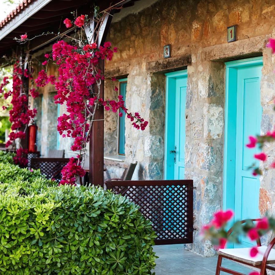 Hotel Flow Surf & Datca