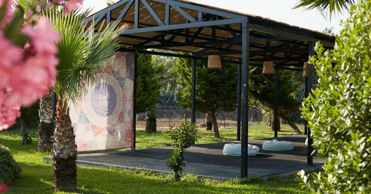 Flow Surf & Hotel 3*