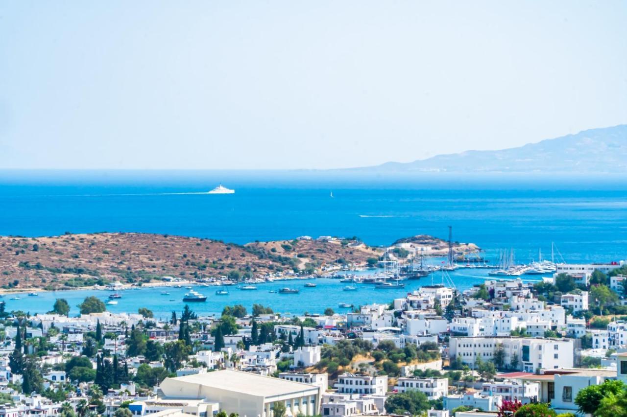 Premium - Amazing Seaviews