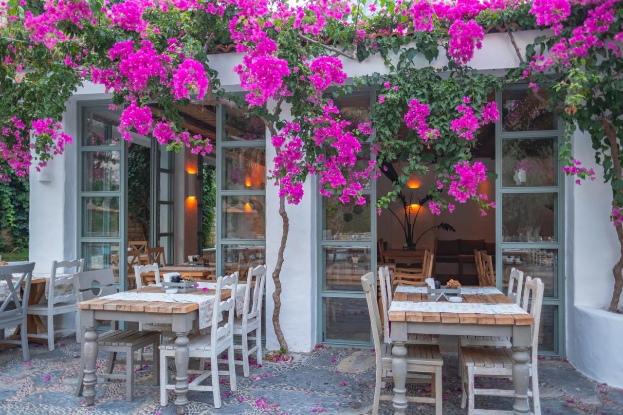 Flamingo & - Pet Friendly 3*