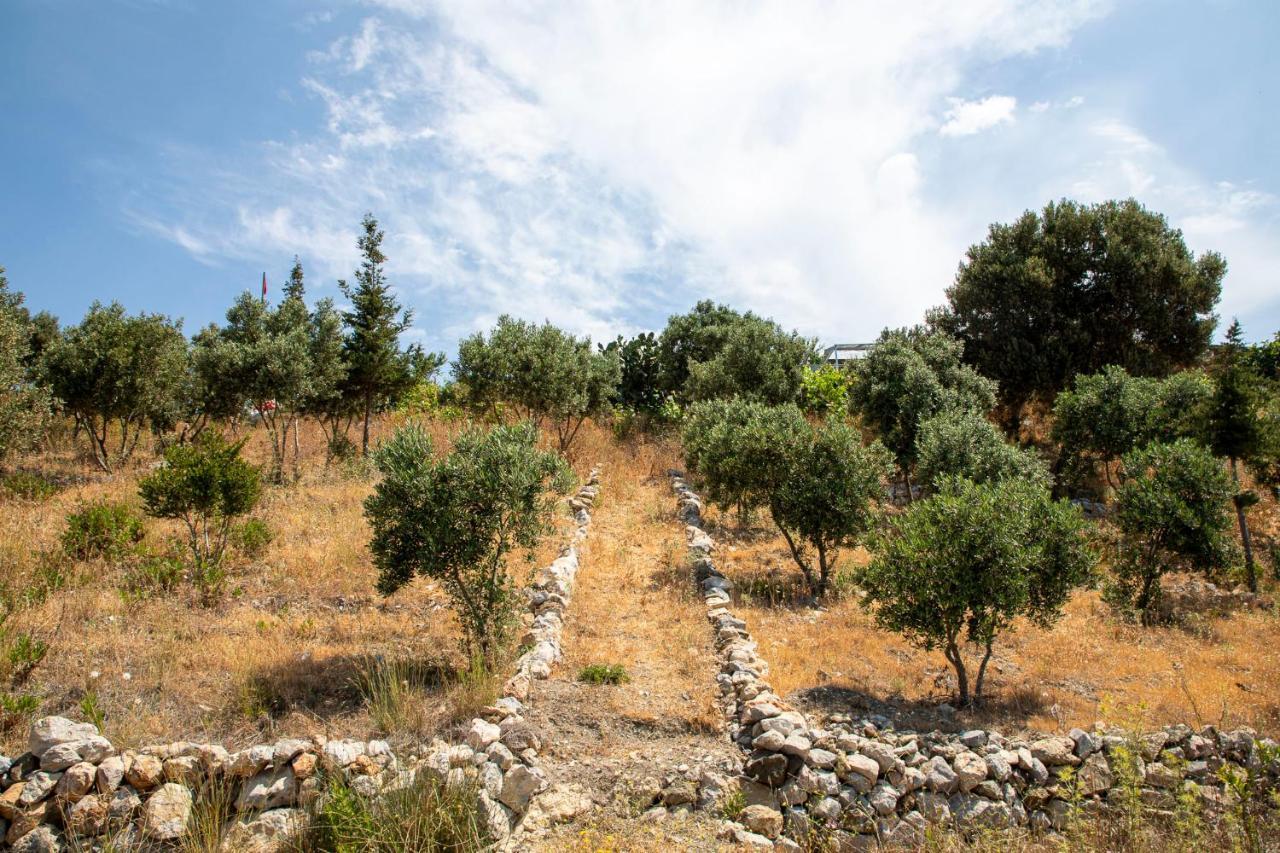 Goknar Knidos Nature (adults Only) *