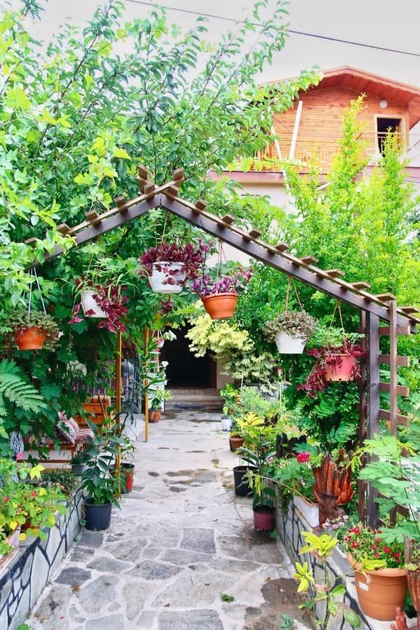 Bed & Breakfast Rosemary 4*