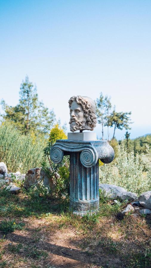 Olympos Mountain Beycik