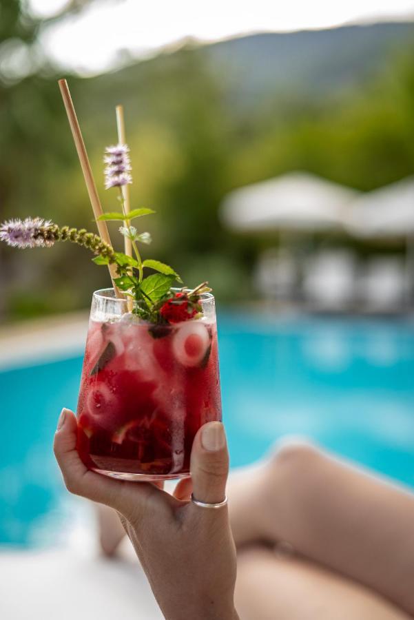 Lodge Olympos Mountain *