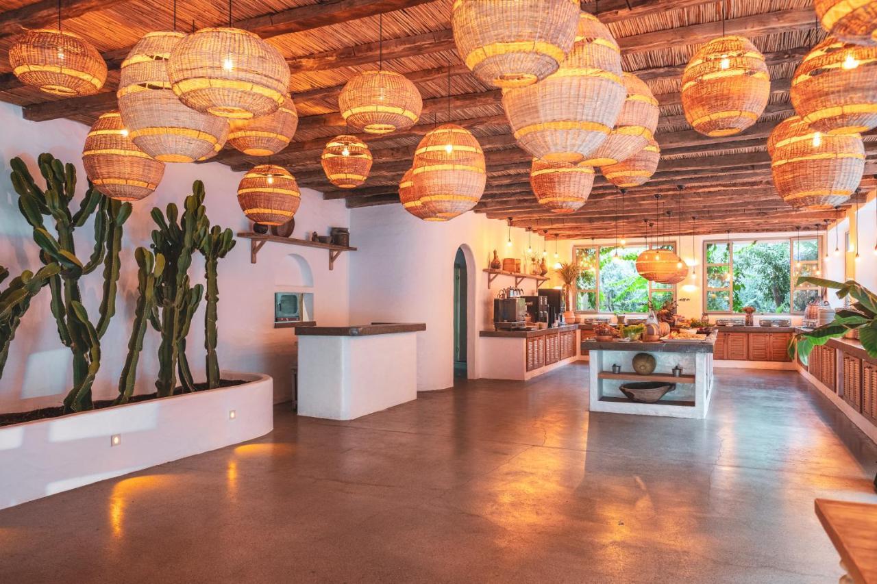 Flamingo & - Pet Friendly