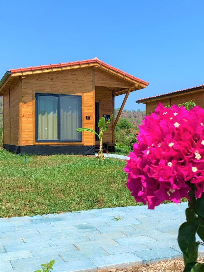Bed & Breakfast Lemon Garden 2*
