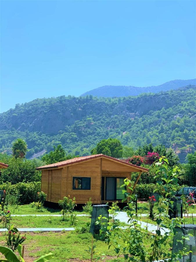 Lemon Garden 2* Cirali